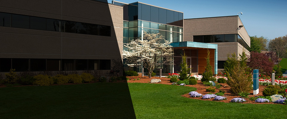 Newcastle Landscapers